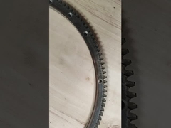 Equipo de anillo de mosca