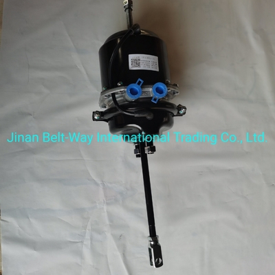 Sinotruk HOWO Camión piezas de freno cámara Wg9000360600 en negro para camiones estándar