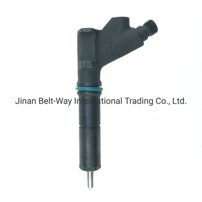 Inyector de combustible personalizado para la parte del motor VG1246080036 OEM Vg1246080036GarantiaT1 años
