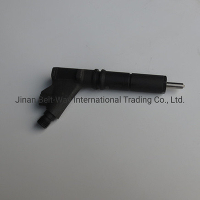 Inyector de combustible personalizado para la parte del motor VG1246080036 OEM Vg1246080036GarantiaT1 años