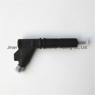Inyector de combustible personalizado para la parte del motor VG1246080036 OEM Vg1246080036GarantiaT1 años