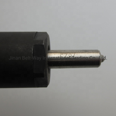 Inyector de combustible certificado CE para la parte del motor VG1246080036