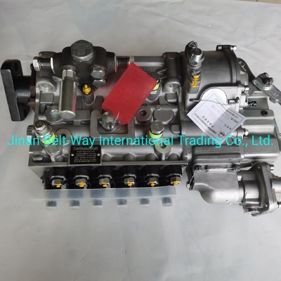 Sinotruk HOWO Truck Parts Fuel Injection Pump Vg1560080021 con apoyo de pago en USD