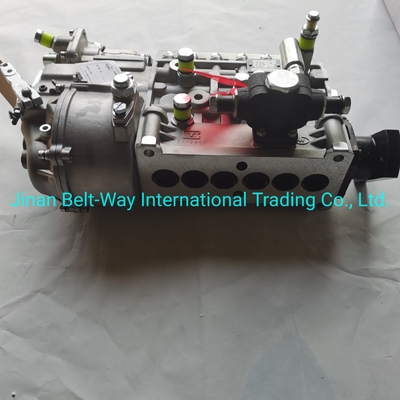 Sinotruk HOWO Truck Parts Fuel Injection Pump Vg1560080021 con apoyo de pago en USD