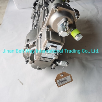 Sinotruk HOWO Truck Parts Fuel Injection Pump Vg1560080021 con apoyo de pago en USD