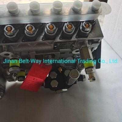 Sinotruk HOWO Truck Parts Fuel Injection Pump Vg1560080021 con apoyo de pago en USD