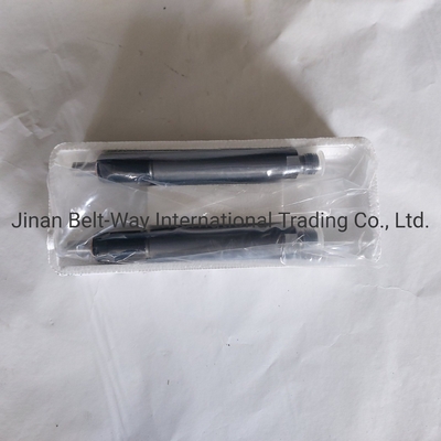 Sinotruk HOWO Truck Parts Fuel Injector Vg1560080276 para el sistema de conducción del eje delantero