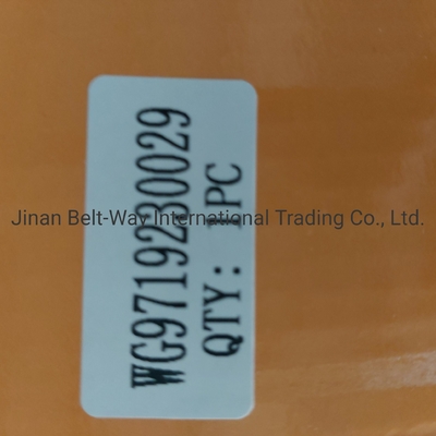 Sinotruk HOWO Camión piezas de embrague cilindro de refuerzo Wg9719230029 Perfecto para su camión