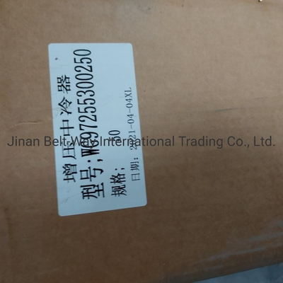 Sinotruk HOWO Camión piezas de repuesto Intercooler sobrealimentado Wg97255300250 Wg9725530020