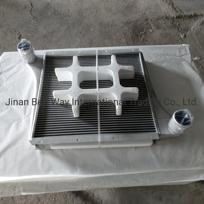 Sinotruk HOWO Camión piezas de repuesto Intercooler sobrealimentado Wg97255300250 Wg9725530020