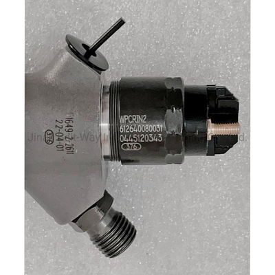 0445120343 Inyector diesel de tren común para el motor Wp12 de Weichai Power en promoción