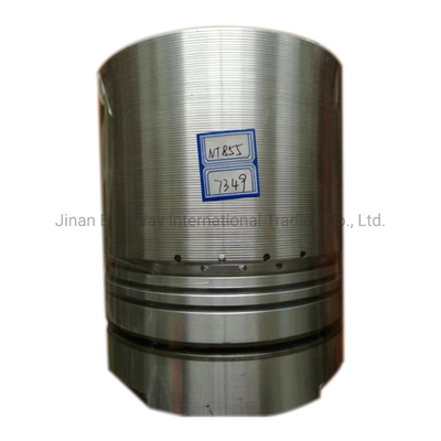 Nt855 139.7 Componente del motor diesel pistón para el transporte de mercancías de Cummins y tiempo de entrega estimado