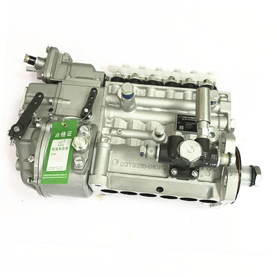 Conjunto de la bomba de inyección de combustible del motor de la parte del camión Shacman F3000/F2000 WP12 612601080397