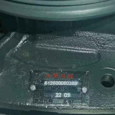 Weichai Power Motor Diesel Bomba de agua 612600060389 con todos los pagos protegidos